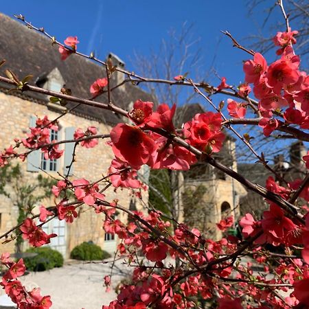 La Tour De Cause Bed & Breakfast Castelnaud La Chapelle Dış mekan fotoğraf