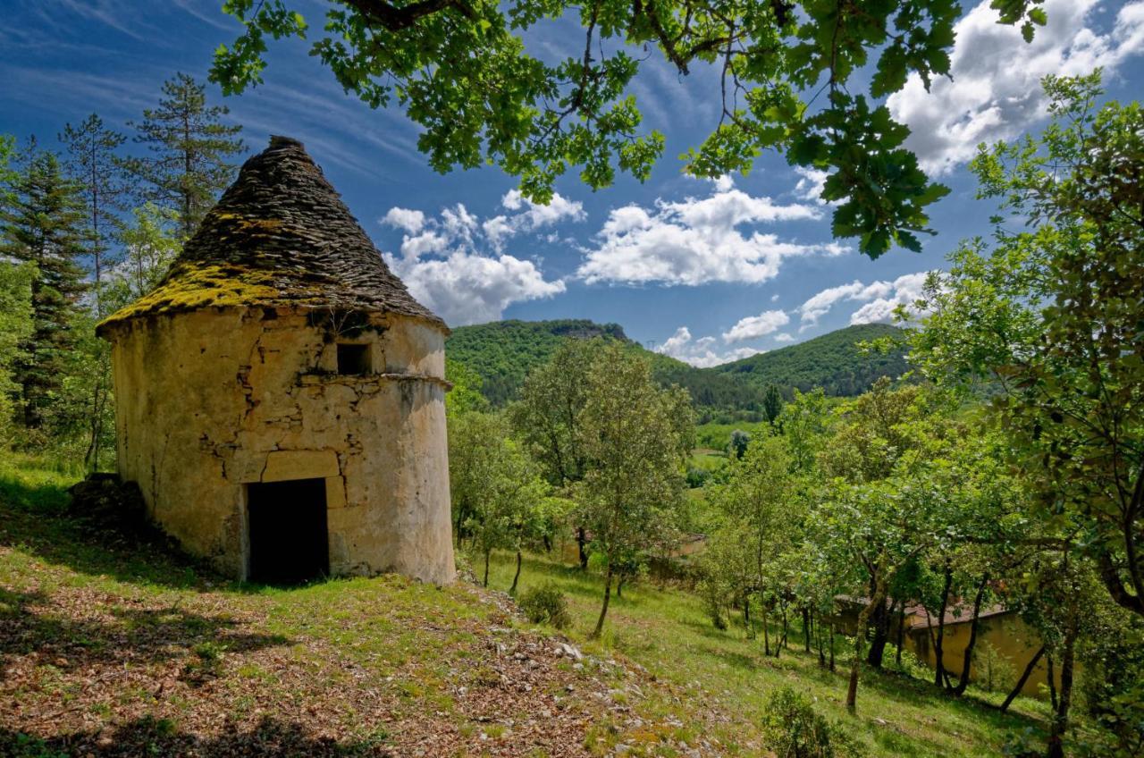 La Tour De Cause Bed & Breakfast Castelnaud La Chapelle Dış mekan fotoğraf