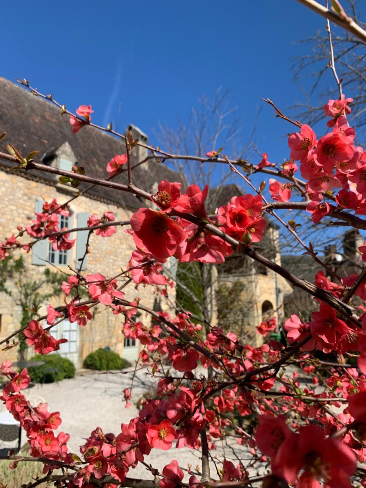 La Tour De Cause Bed & Breakfast Castelnaud La Chapelle Dış mekan fotoğraf