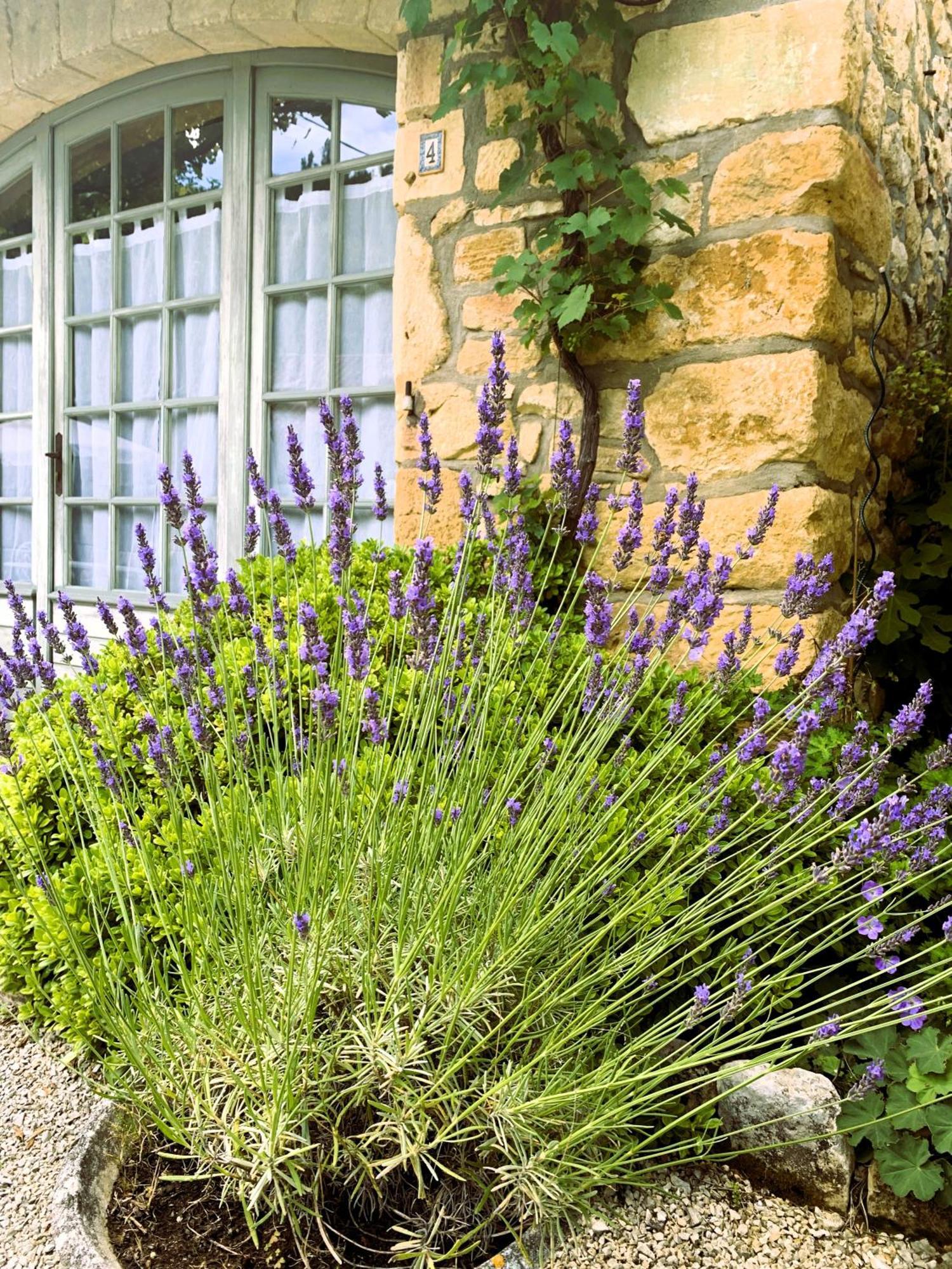 La Tour De Cause Bed & Breakfast Castelnaud La Chapelle Dış mekan fotoğraf