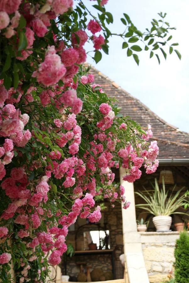 La Tour De Cause Bed & Breakfast Castelnaud La Chapelle Dış mekan fotoğraf